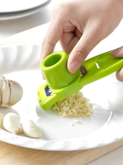 Generic-Garlic-Mixer