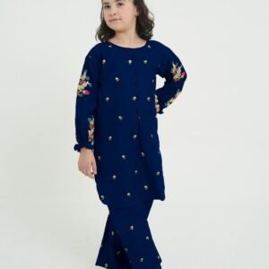 Front Stitch Button With Embroidered Shirt And Emb Flapper  Kids 2Pcs